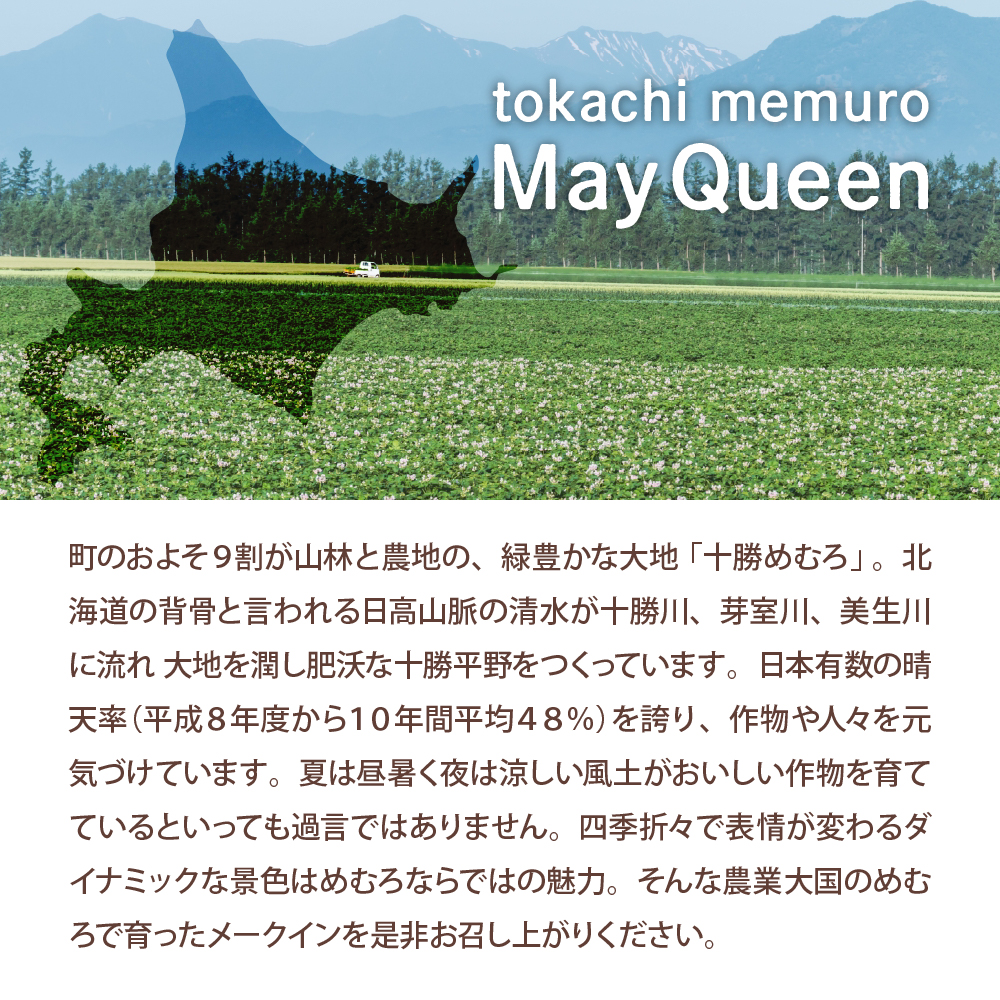 【先行予約】【2025年2月より順次発送】北海道十勝芽室町 なまら十勝野の越冬メークイン10kg me001-006c