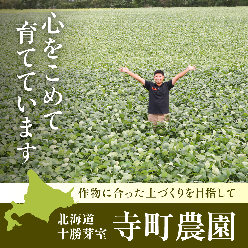 【2026年8月より発送】産地直送！北海道十勝芽室町 枝付き枝豆 5kg me081-001c