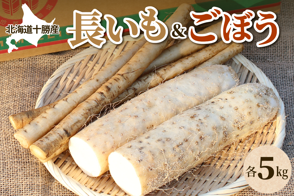 北海道十勝芽室町 ファーム・ミリオンの長芋ごぼうセット【土付き】 10kg me016-014c