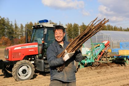 北海道十勝芽室町 なまら十勝野のごぼう茶 3パック me001-008c