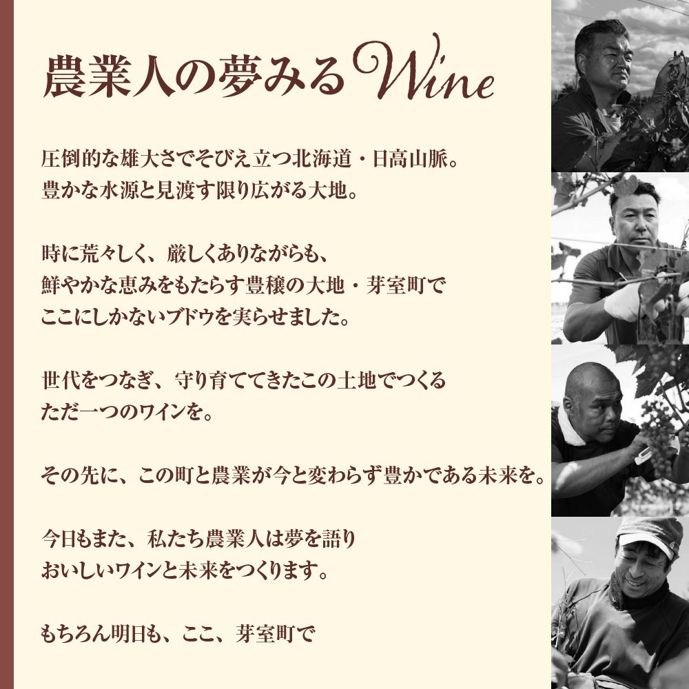 北海道十勝芽室町 赤ワイン：【１年熟成】山幸＆清舞　2本セット　750ml×2本（箱入） me032-033c