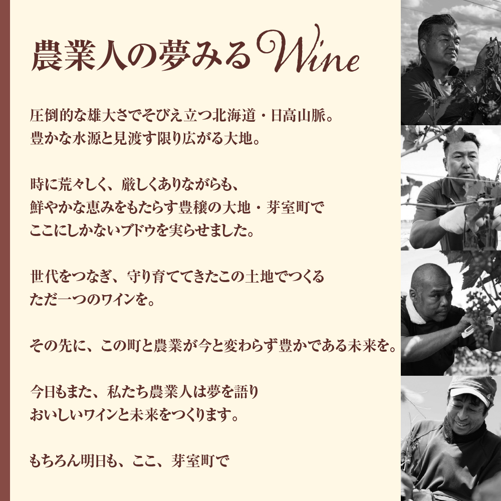 北海道十勝芽室町 赤ワイン：清見 vin2021　750ml×1本(箱入) me032-044c