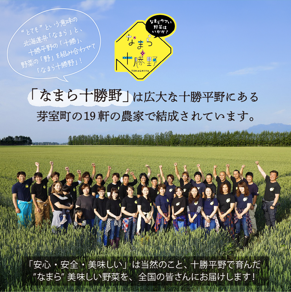 【先行受付】【2026年7月下旬～8月15日頃配送】北海道十勝芽室町 スイートコーンゴールドラッシュ20本 me001-020c-26