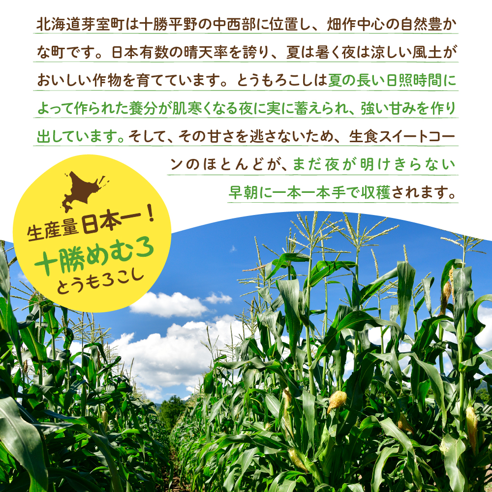 【2024年分先行予約】北海道十勝芽室町 とうもろこし スイートコーン20本 イエロー種 me002-014-24c