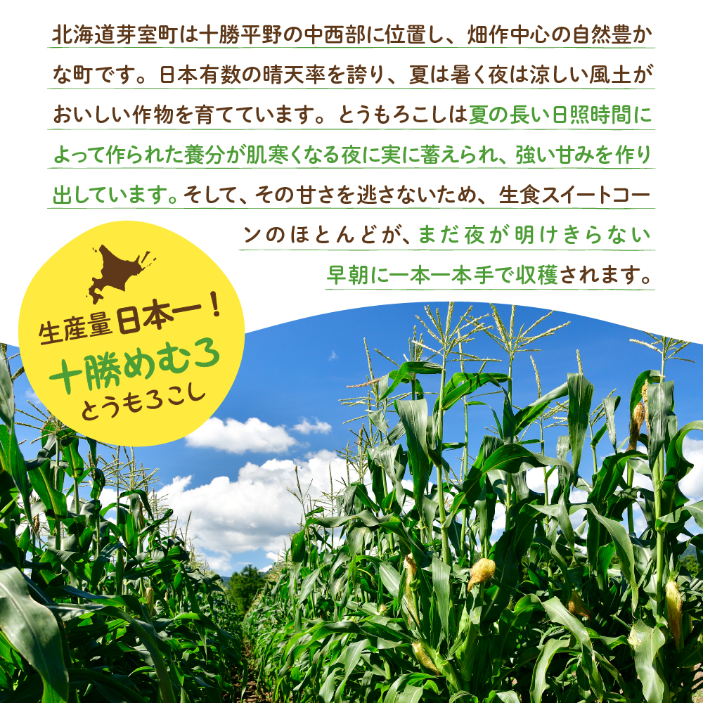 【先行予約】【2025年産】北海道十勝芽室町 とうもろこし スイートコーン20本 イエロー種 me002-014c-25