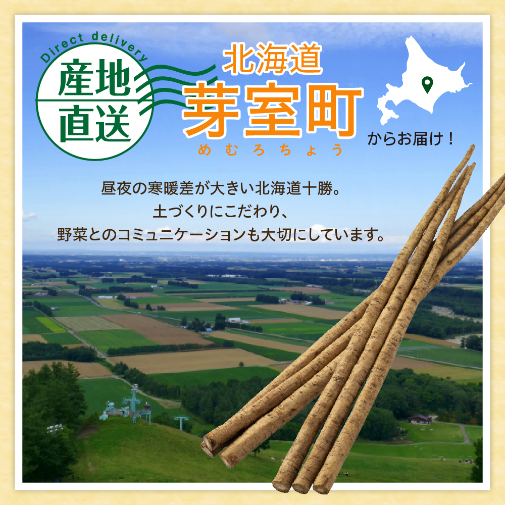 【先行受付】【2025年5月中旬より順次発送】北海道十勝芽室町 なまら十勝野 芽室町産 春掘り美肌ごぼう【ユキシズク】L2㎏ me001-034c