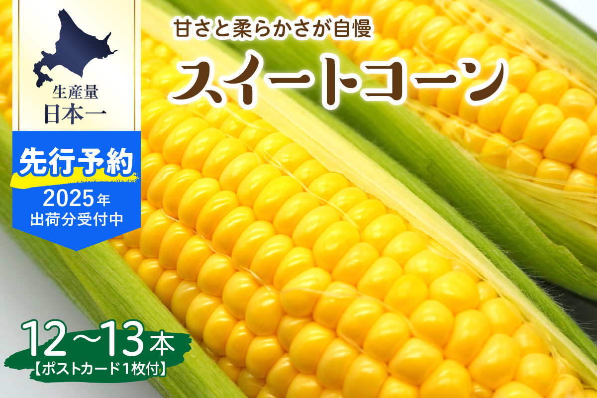 【2025年分先行予約】北海道十勝芽室町 上美生のたからばこ とうもろこしゴールドラッシュ 12～13本 ポストカード セット me029-001-24c