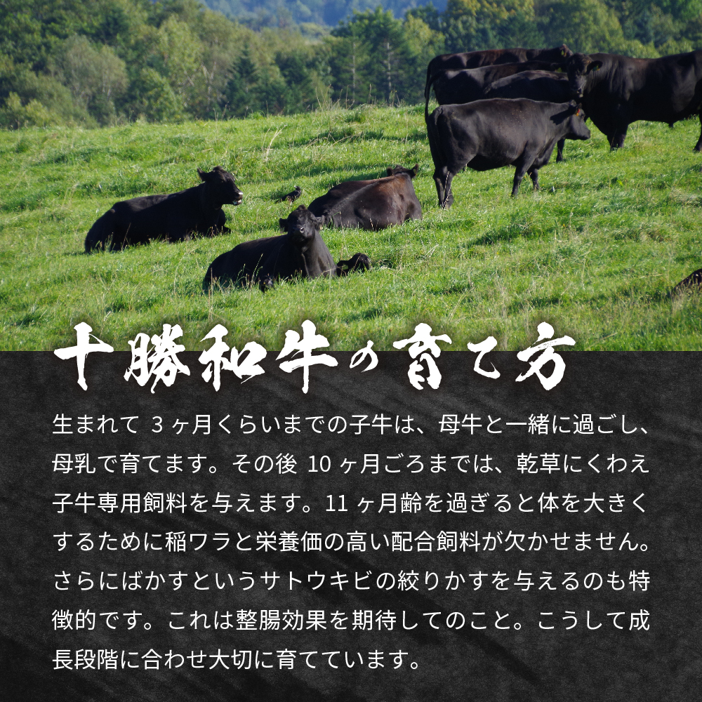 北海道十勝和牛ローススライスと山わさびのすりおろし３種セット me000-011c