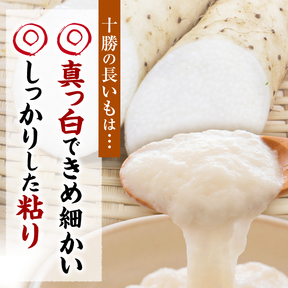 縲12譛井クュ譌ャ莉・髯咲匱騾√大圏豬キ驕灘香蜍晁歓螳、逕コ 縺ェ縺セ繧牙香蜍晞弱ョ髟キ縺繧 シ斌g me001-010c