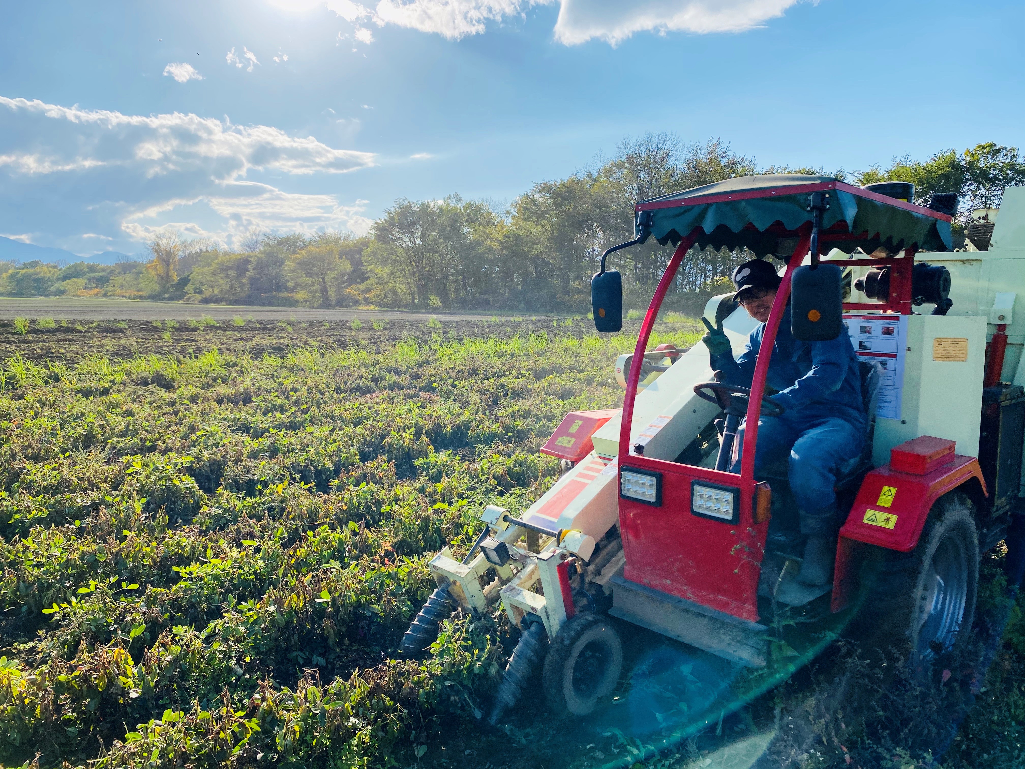 蛹玲オキ驕灘香蜍晁歓螳、逕コ 繝斐シ繝翫ャ繝繝舌ち繝シ繝サ繝斐シ繝翫ャ繝繝舌ち繝シ豺ア辣弱j 2遞ョテ80g me009-009c