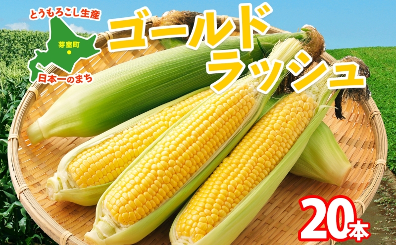 【2025年分先行予約】とうもろこし ゴールドラッシュ 20本 芽室町産 トウモロコシ コーン とうきび イエローコーン スイートコーン 野菜 新鮮 もぎたて 冷蔵 ギフト プレゼント お取り寄せ 送料無料 十勝 北海道 芽室町 【2025年8月発送】me035-027c-25