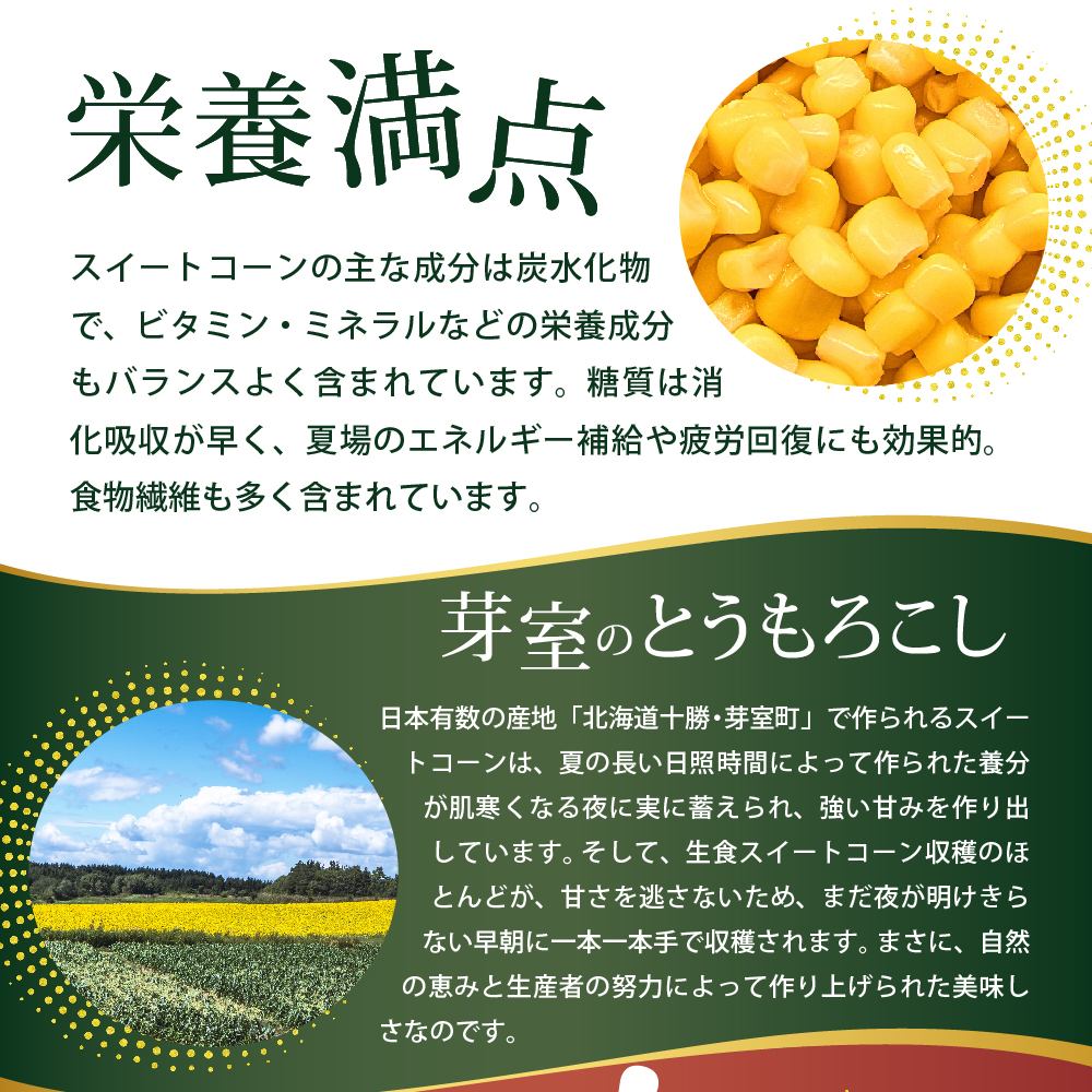 【12月以降お届け】北海道十勝芽室町 レンジで簡単！十勝 芽室 コーン 炒飯　200g×3個セット　me026-011c