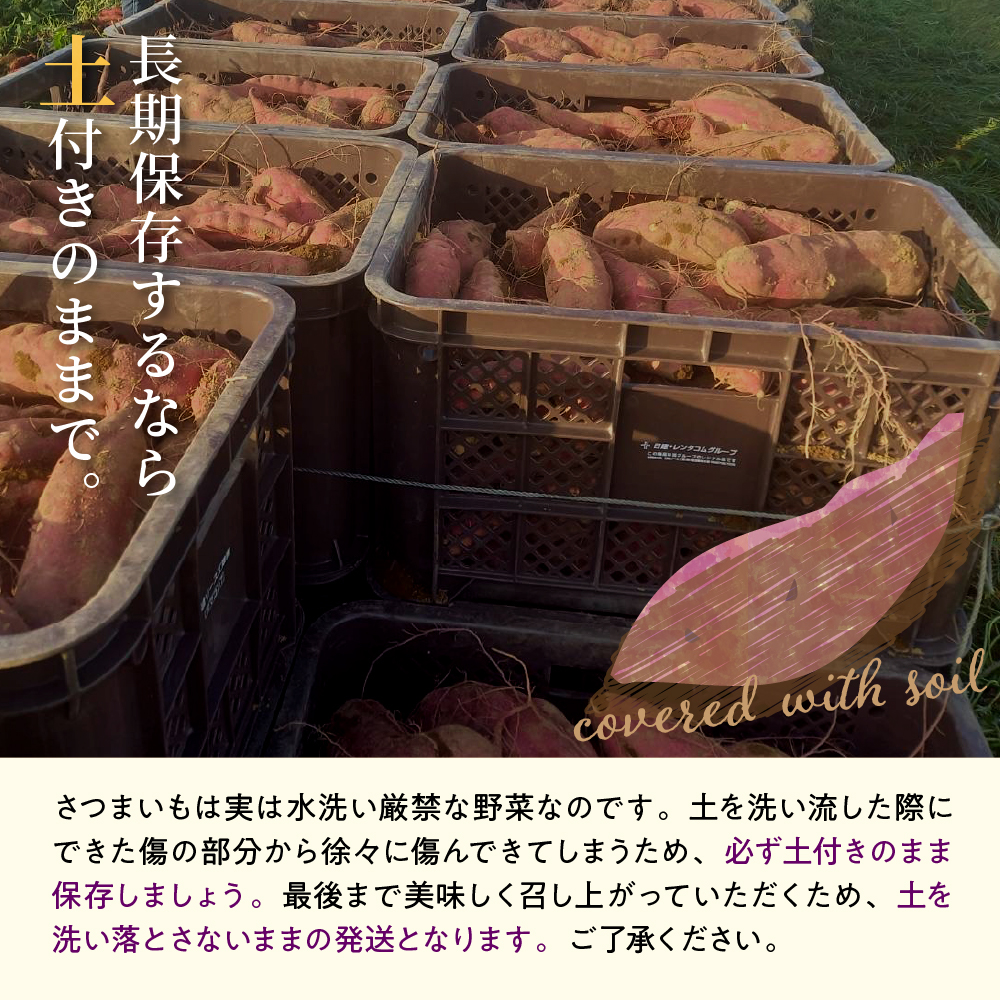 【先行予約】【2024年11月下旬より配送】北海道十勝芽室町産 有機JAS認証 鈴鹿農園 熟成さつまいも 紅はるか 5kg（土付き）me049-001c-24