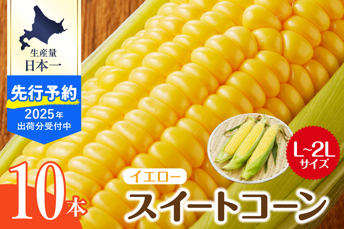 【先行予約】【2025年産】北海道十勝芽室町 とうもろこし スイートコーン10本 イエロー種 me002-004c-25