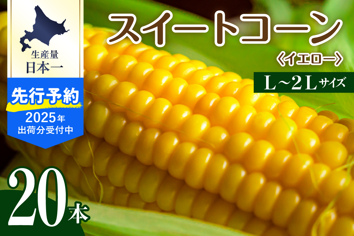 【先行予約】【2025年産】北海道十勝芽室町 とうもろこし スイートコーン20本 イエロー種 me002-014c-25