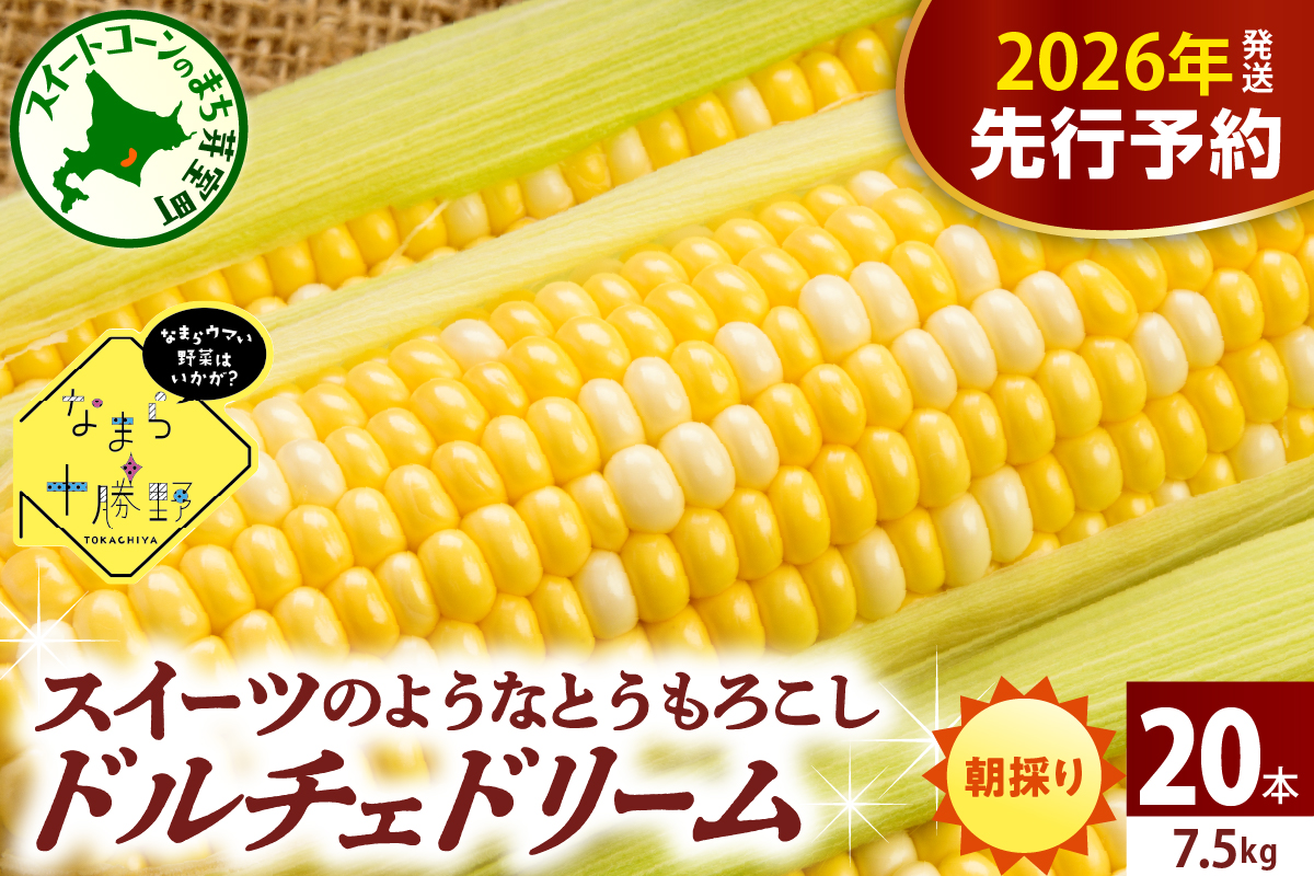 【先行受付】【2026年7月下旬～8月15日頃配送】北海道十勝芽室町 なまら十勝野　ドルチェドリーム(20本) 　me001-045c-26