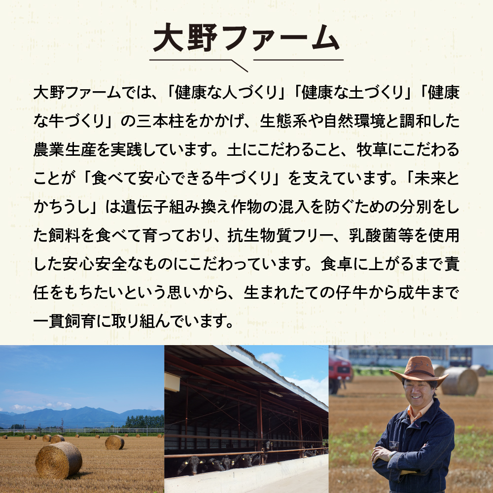 北海道十勝芽室町 めむろみらい牛使用！ひき肉1.2kg me007-002c