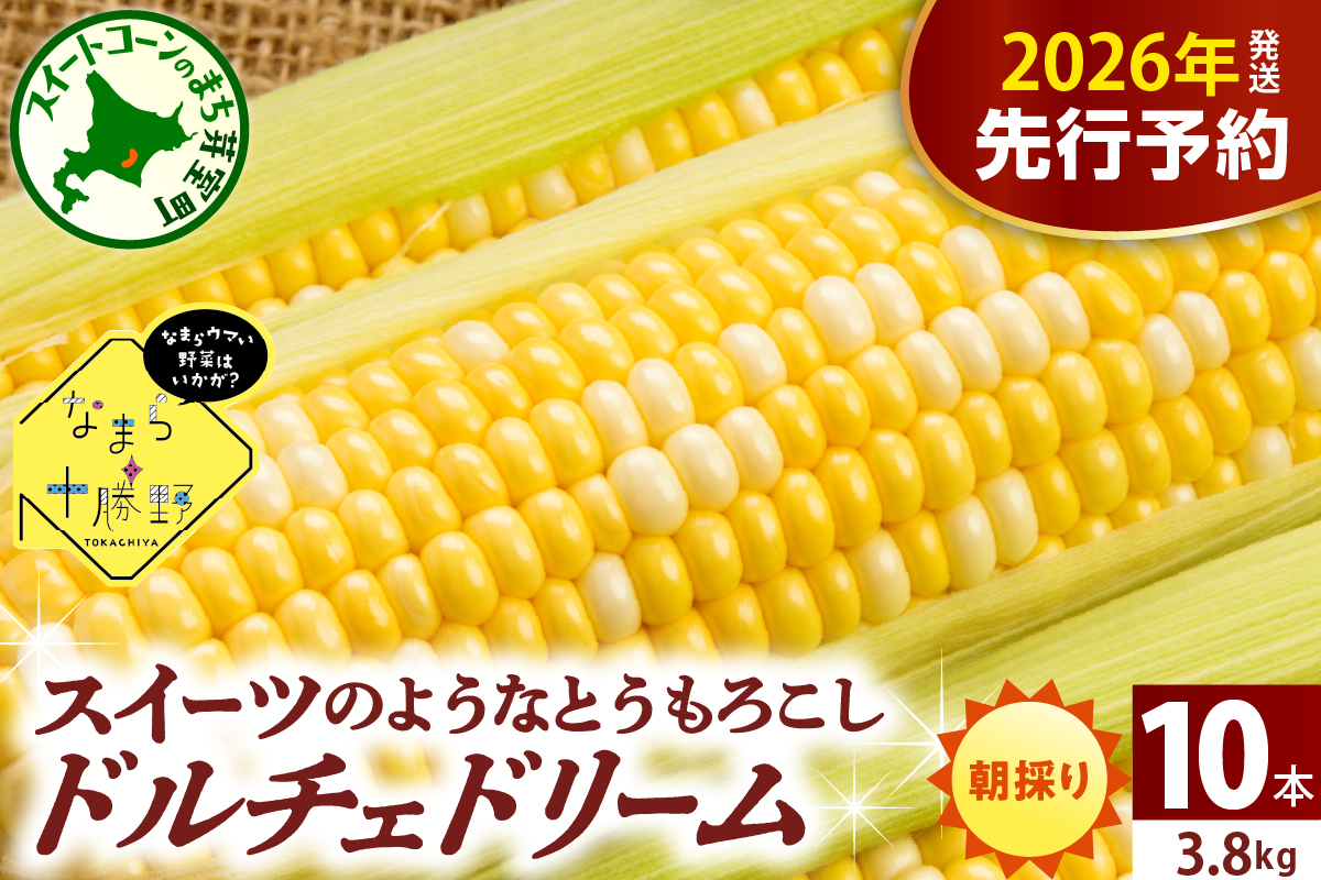 【先行受付】【2026年7月下旬～8月15日頃配送】北海道十勝芽室町 なまら十勝野　ドルチェドリーム(10本) 　me001-043c-26