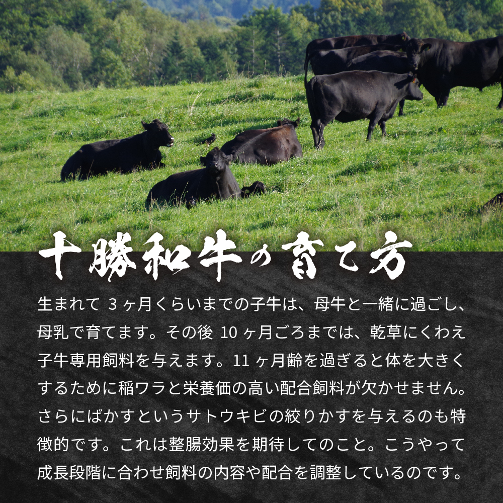 北海道十勝和牛ロースステーキ 100g×5枚 me040-002c