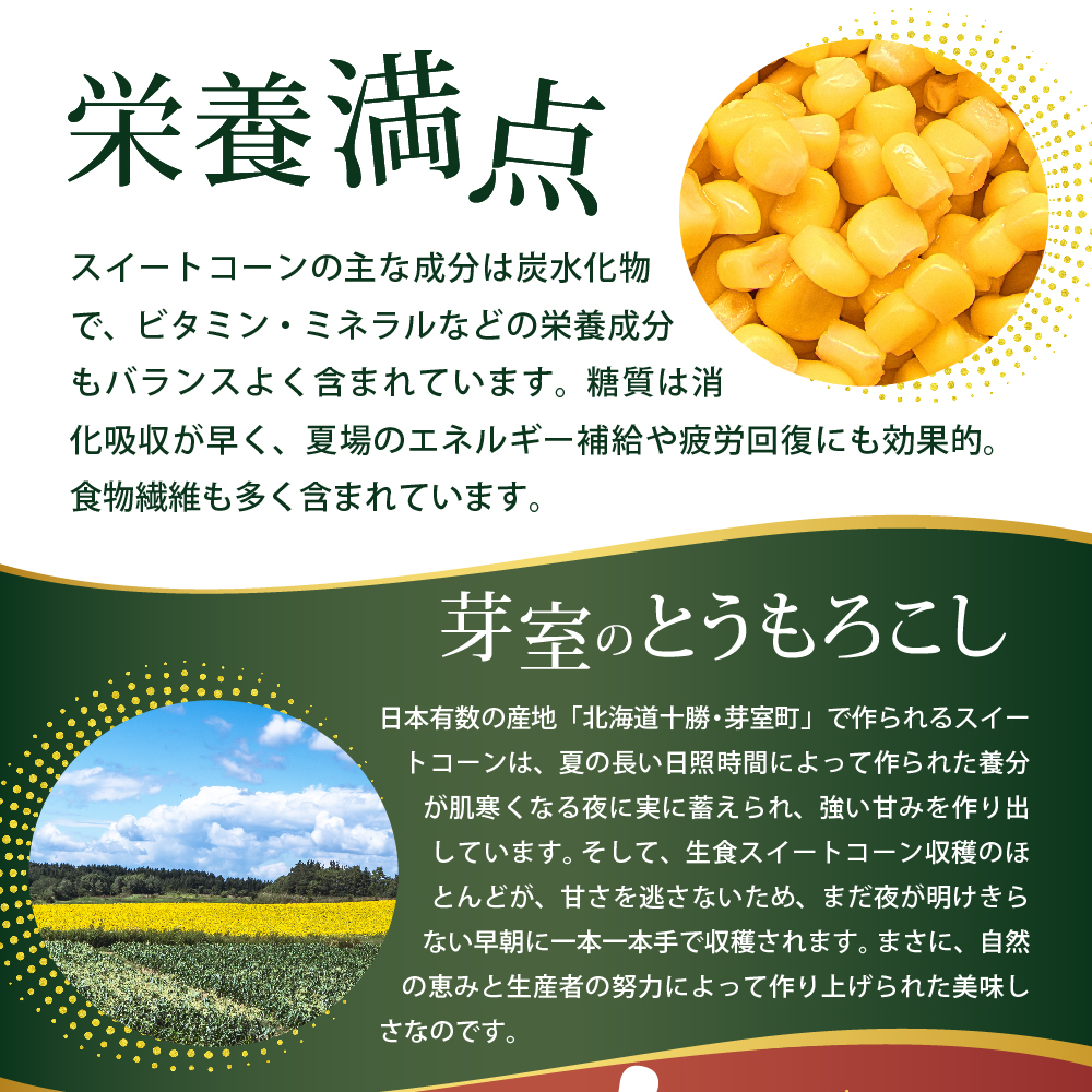 北海道十勝芽室町 レストランHiroオリジナルハンバーグ3個 コーン炒飯3パック セット me026-022c