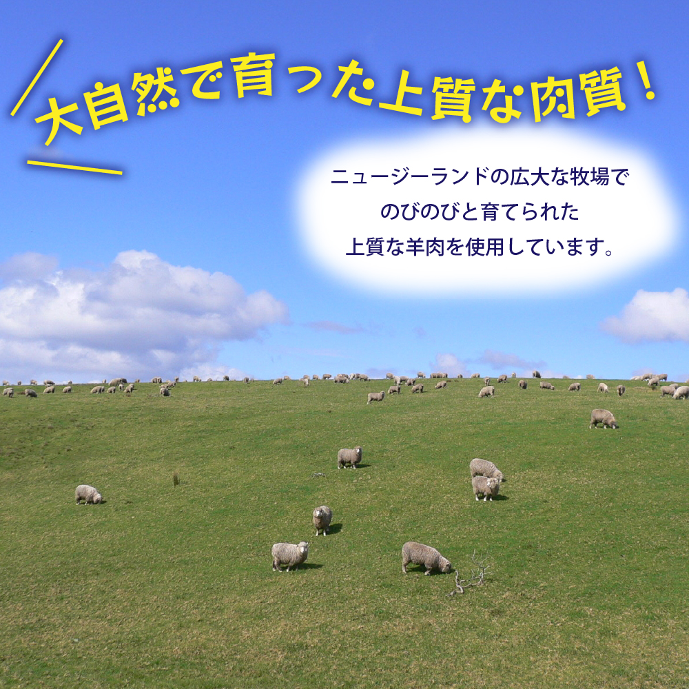 北海道十勝芽室町 ３種のラムジンギスカン味くらべセット2.0kg(400g×5袋） me006-004c