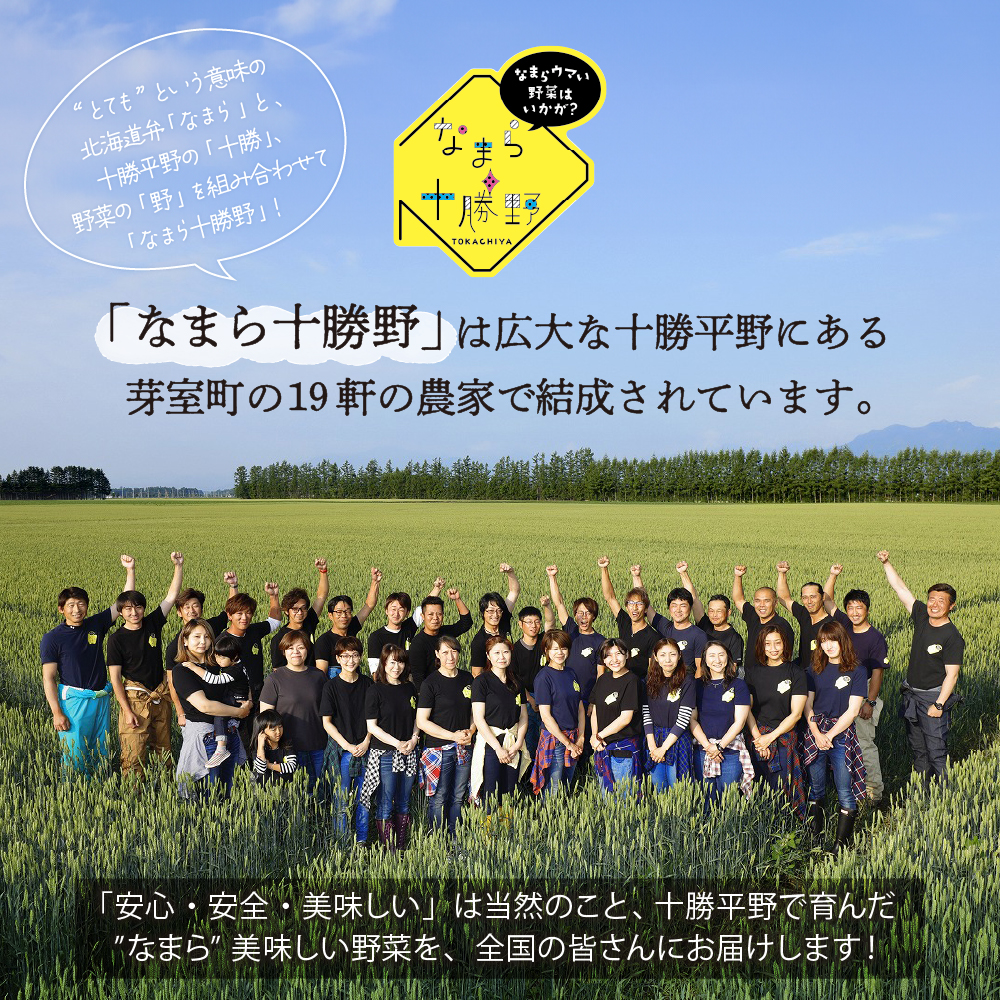 【先行受付】【2025年2月より順次発送】北海道十勝芽室町 なまら十勝野の季節のおまかせ野菜セット（冬） me001-015c