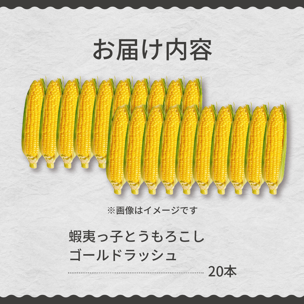 【先行受付】【2026年7月25日～8月15日頃発送予定】朝採りをお届け！ 北海道十勝芽室町　蝦夷っ子とうもろこし ゴールドラッシュ 20本 me076-010c-26