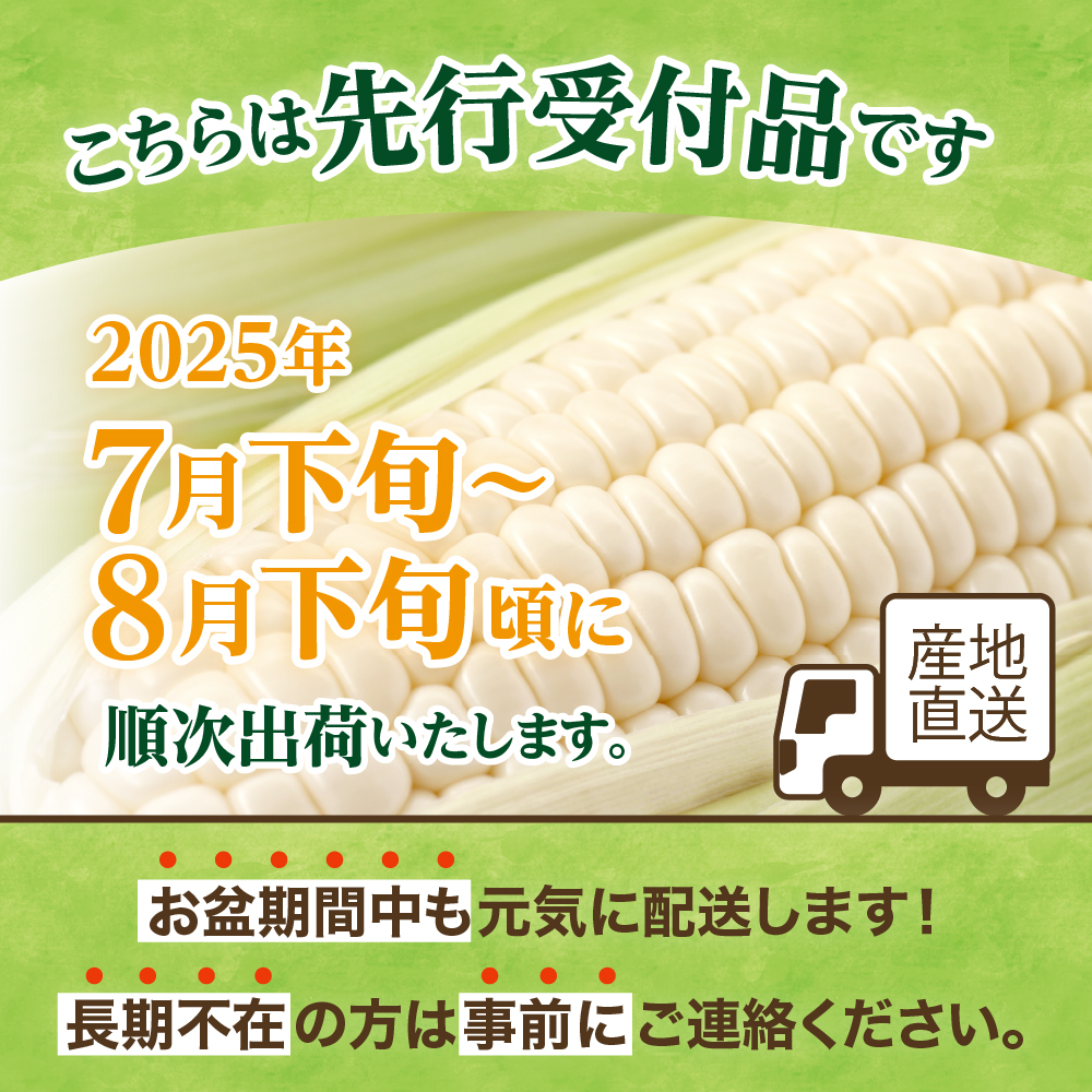 【先行予約】【2025年産】北海道十勝芽室町 とうもろこし 10本 ホワイト種 me002-005c-25