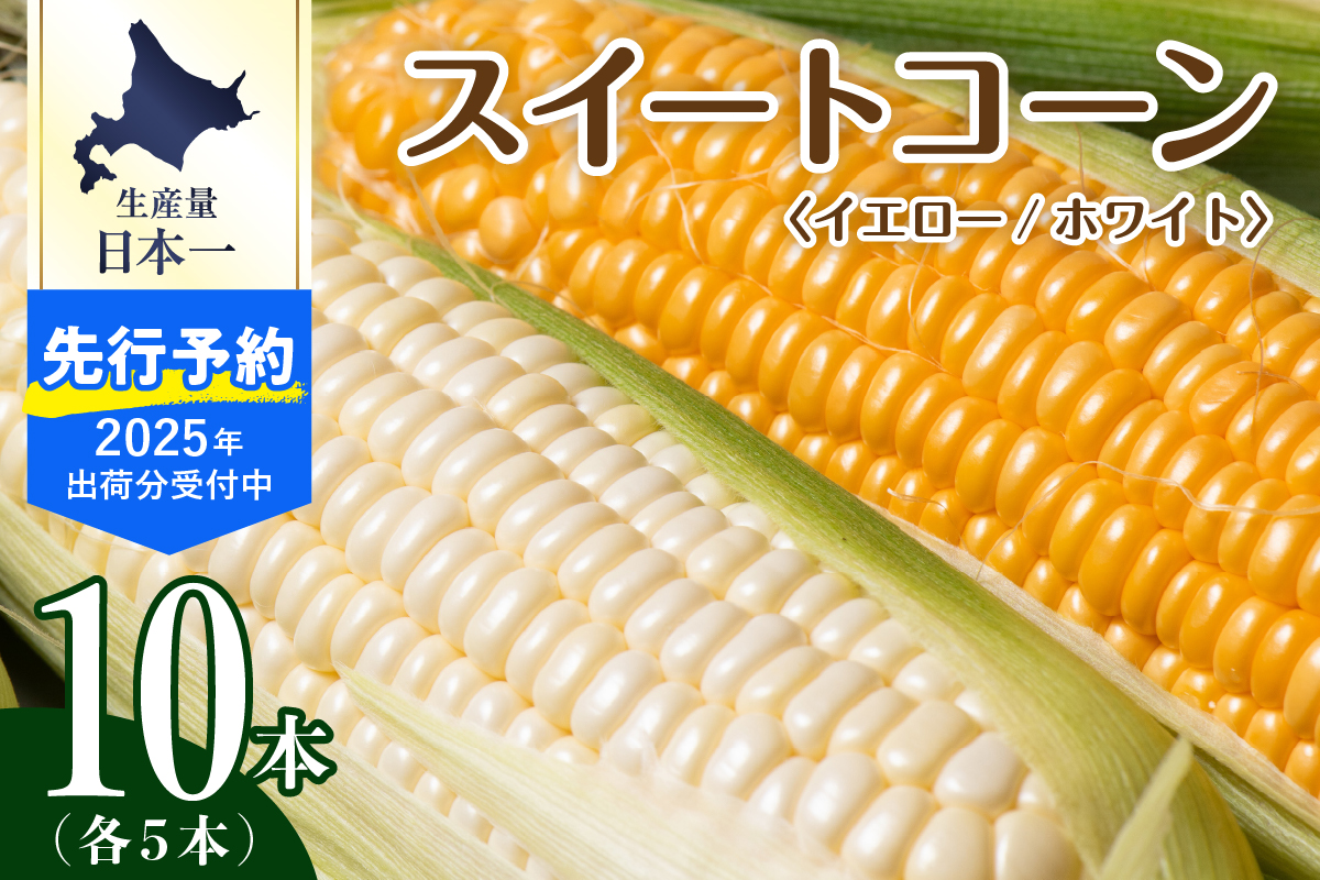 【先行予約】【2025年産】北海道十勝芽室町 とうもろこし イエロー種5本 ホワイト種5本 me002-008c-25