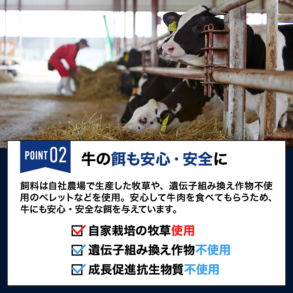 åæµ·éååèœå®€çº ã«ãŠã»ã«ãŠããŒãã·ãã¥ãŒ 3åã»ãã æªæ¥ãšãã¡ç100ïŒ
äœ¿çš me007-007c