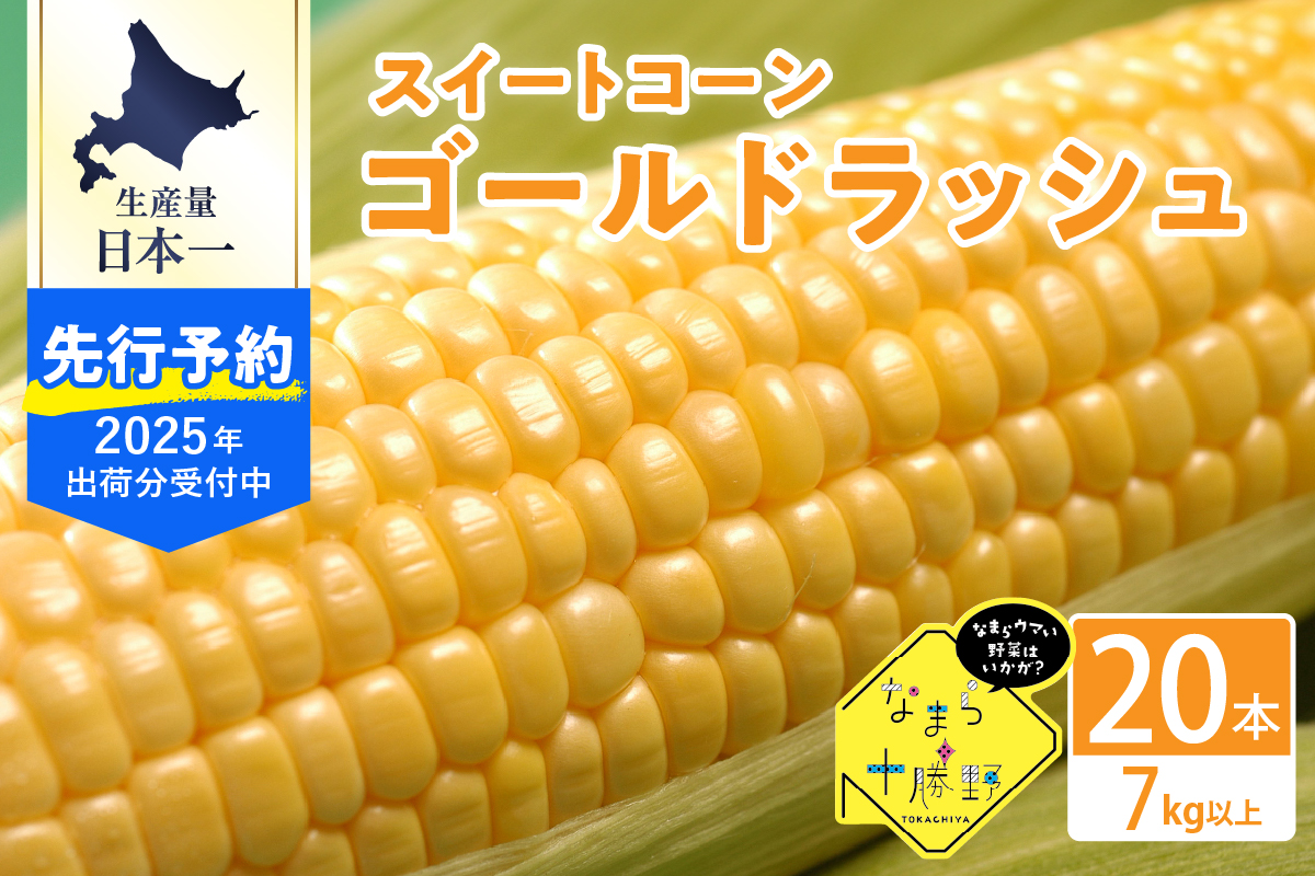 【2025年分先行予約】北海道十勝芽室町 スイートコーン ゴールドラッシュ 20本キャンプ飯 BBQ ソロキャン人気 トウモロコシ 生 野菜 北海道 十勝 芽室町 送料無料 お取り寄せme001-020c-25