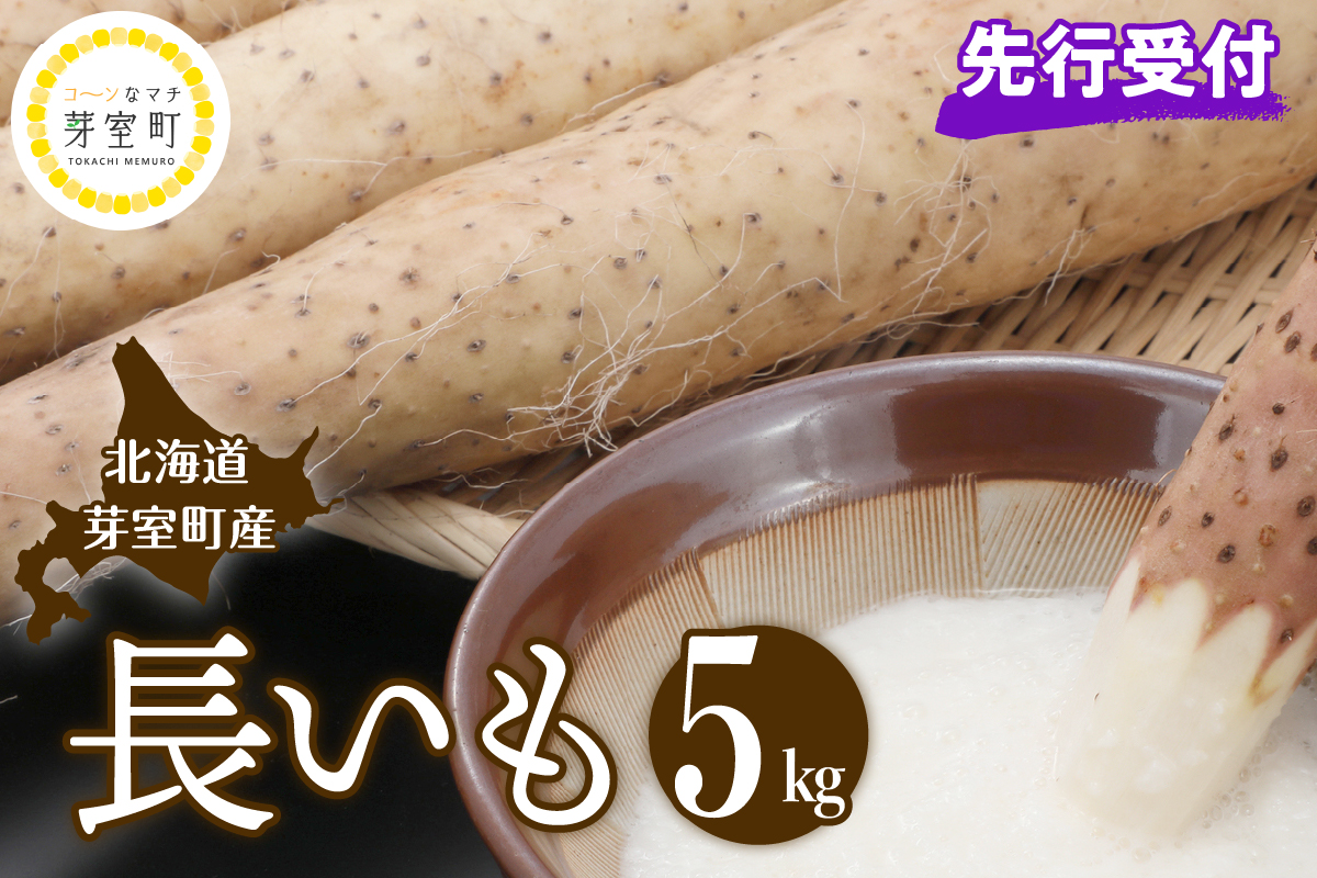 【先行受付】【2025年11月より配送予定】北海道十勝芽室町 長いも 約5kg me002-015c