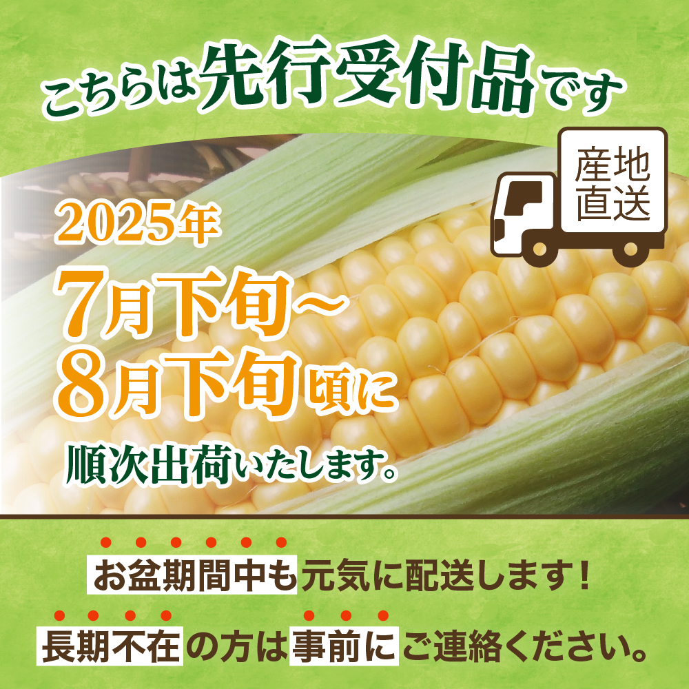 【2025年分先行予約】ドルチェドリーム(20本) 　とうもろこし 高評価 ★ 北海道産 なまら十勝野 キャンプ飯 BBQ ソロキャン人気 トウモロコシ 生 野菜 北海道 十勝 芽室町 送料無料 お取り寄せ　me001-045c-25