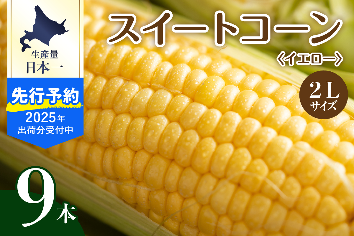 【先行予約】【2025年産】北海道十勝芽室町 とうもろこし 2L 9本入り me002-021c-25