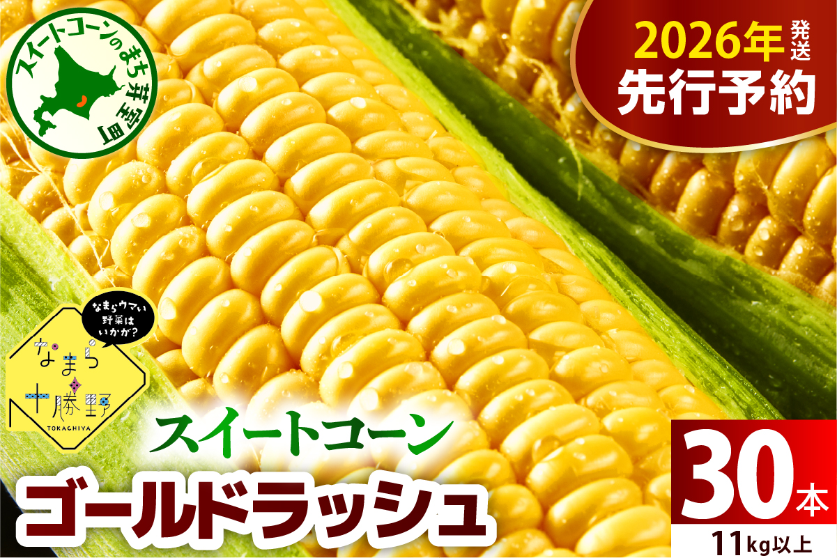 【先行受付】【2026年7月下旬～8月15日頃配送】北海道十勝芽室町 なまら十勝野のスイートコーン ゴールドラッシュ(30本) me001-011c-26