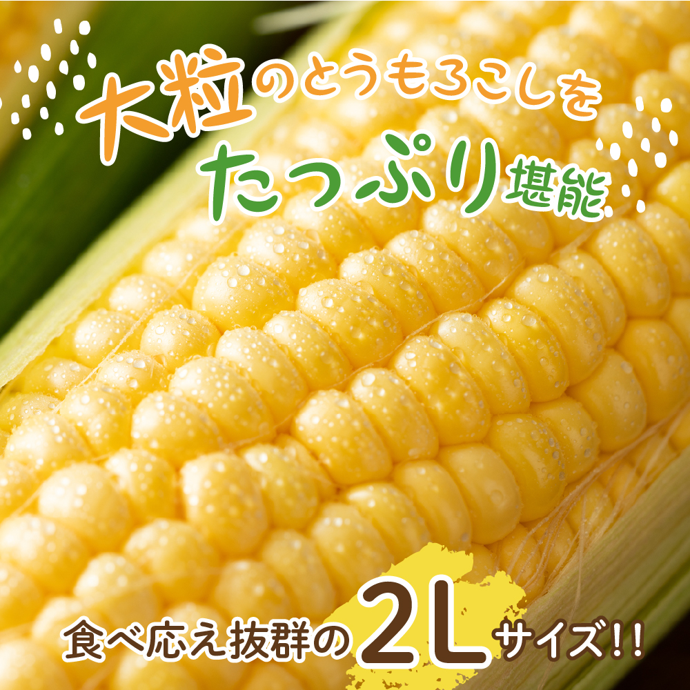 【2024年分先行予約】北海道十勝芽室町 とうもろこし 2L 9本入り me002-021-24c