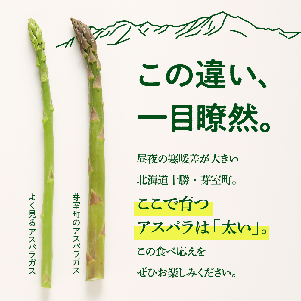 【先行受付】【2025年出荷分】北海道十勝芽室町 なまら十勝野のアスパラ1kg me001-007c-25