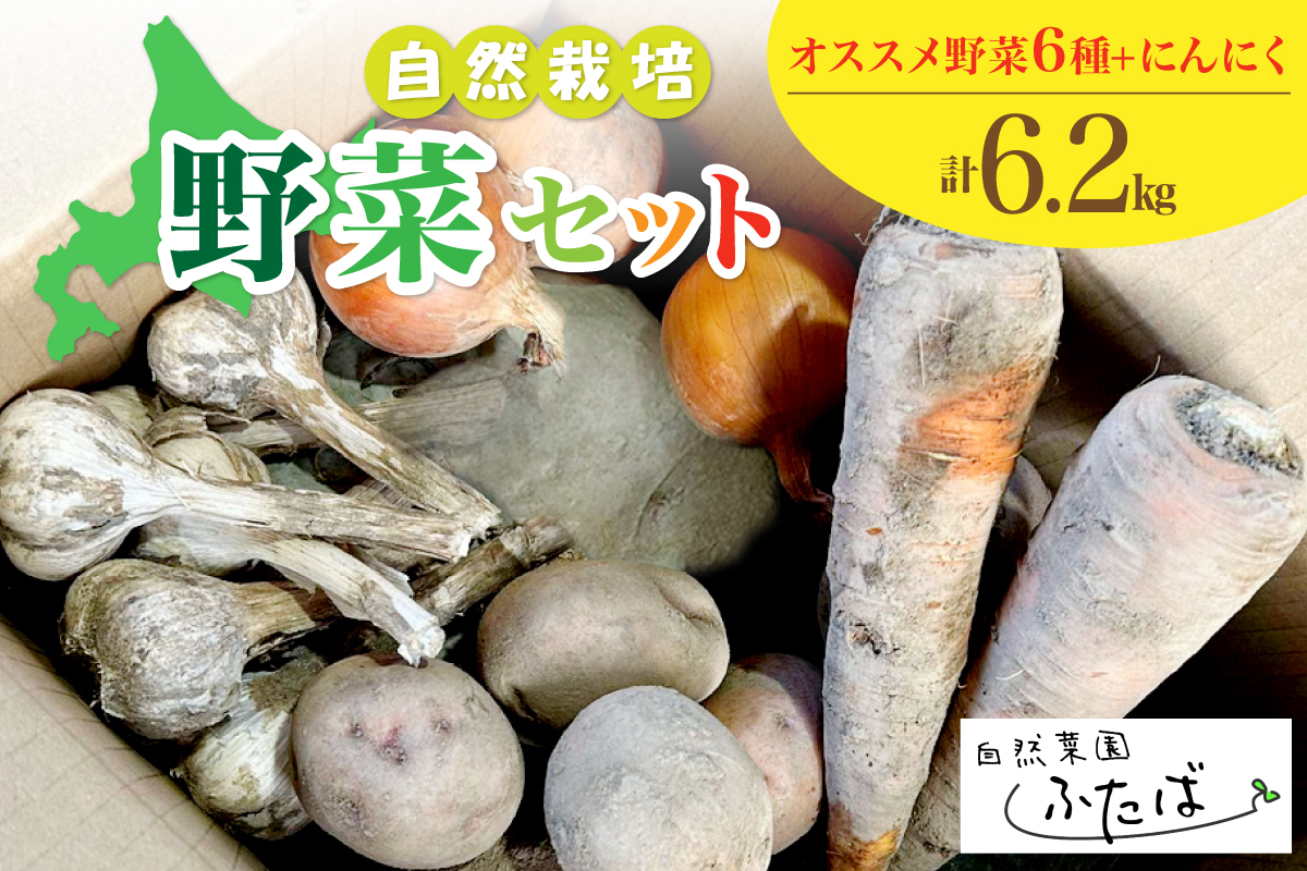 北海道十勝芽室町　自然菜園ふたば  宇佐美亮の野菜セット6.2kg　me074-013c　