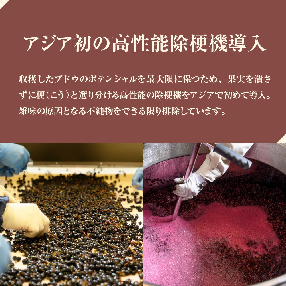 蛹玲オキ驕灘香蜍晁歓螳、逕コ 縺九↑縺医k 螻ア蟷ク縲殖ITO KOICHI縲宋in2022 750mlテ1譛ャ me032-068c