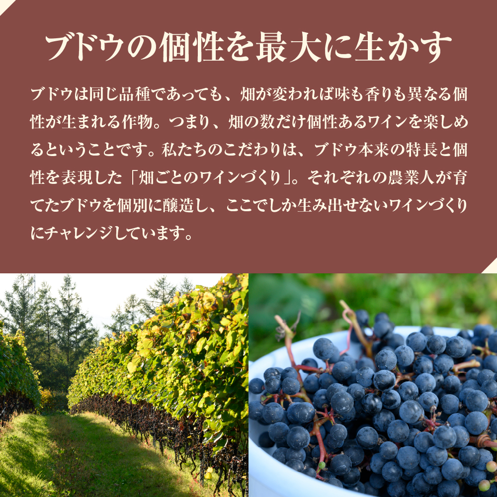 北海道十勝芽室町 赤ワイン：AVVERARE〜かなえる 山幸　aged one year　vin2020　375ml（ハーフボトル）１本（箱入） me032-038c