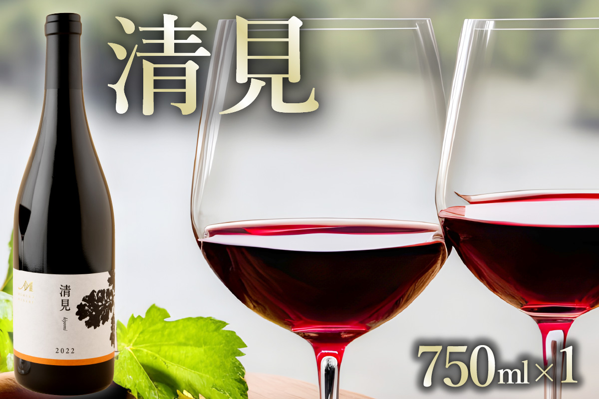 北海道十勝芽室町 赤ワイン：清見 750ml×1本(箱入) me032-044c