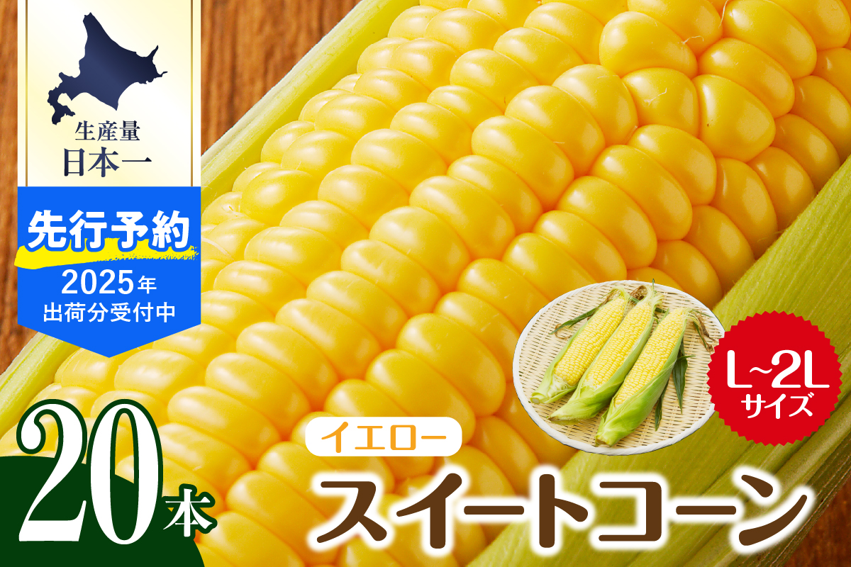 【先行予約】【2025年産】北海道十勝芽室町 とうもろこし スイートコーン20本 イエロー種 me002-014c-25