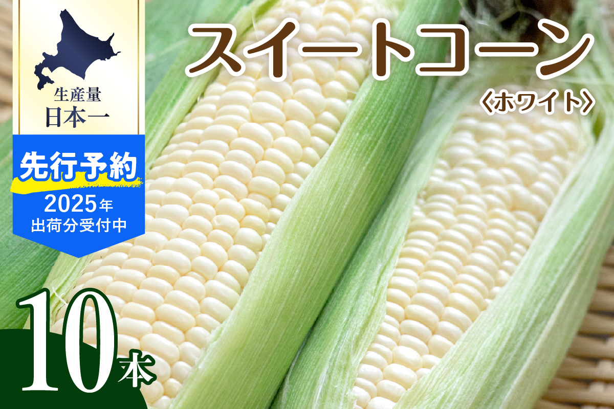 【先行予約】【2025年産】北海道十勝芽室町 とうもろこし 10本 ホワイト種 me002-005c-25