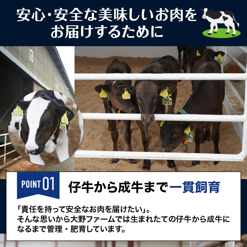 åæµ·éååèœå®€çº ã«ãŠã»ã«ãŠããŒãã·ãã¥ãŒ ã«ãŠã»ã«ãŠããŒãã«ã¬ãŒ å2åã»ãã æªæ¥ãšãã¡ç100ïŒ
äœ¿çš me007-009c