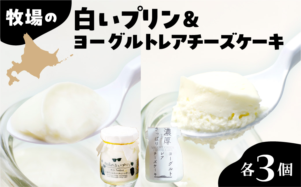 蛹玲オキ驕灘香蜍晁歓螳、逕コ 迚ァ蝣エ縺ョ逋ス縺繝励Μ繝ウ縺ィ繝ィ繝シ繧ー繝ォ繝医Ξ繧「繧サ繝繝 me079-011c