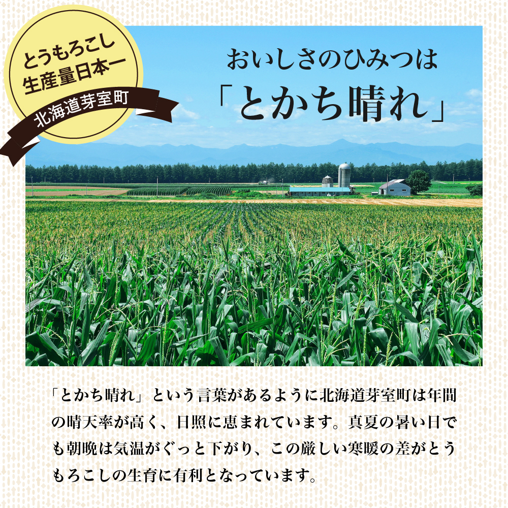 北海道 十勝 芽室町 極甘つぶコーン 食べ比べ me016-002c
