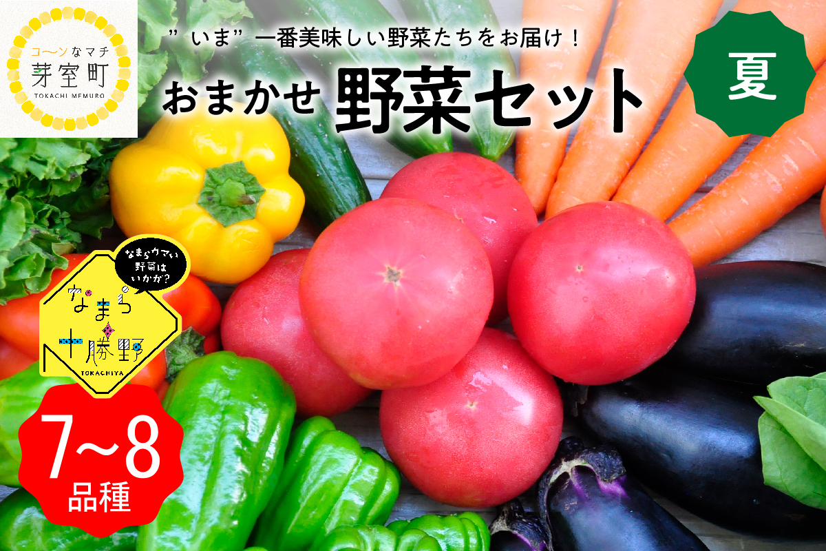北海道十勝芽室町 なまら十勝野の季節のおまかせ野菜セット（夏） me001-009
