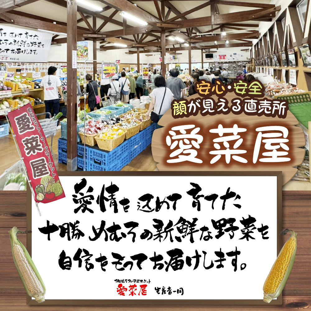 【先行受付】【2026年7月下旬～8月中旬頃配送】北海道十勝芽室町 とうもろこし 2L 9本入り me002-021c-26