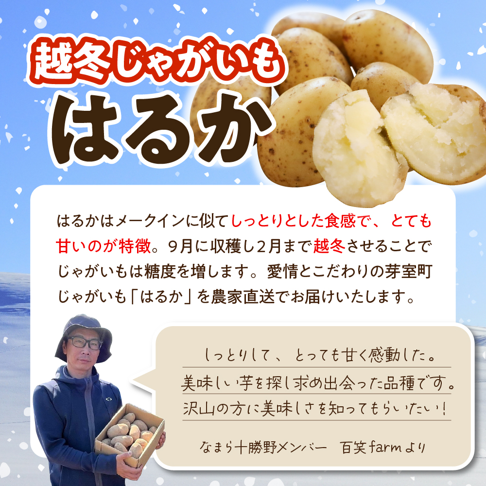 【先行受付】【2025年4月より順次発送】北海道十勝芽室町　なまら十勝野　越冬じゃがいも　はるか　5kg　me001-028c