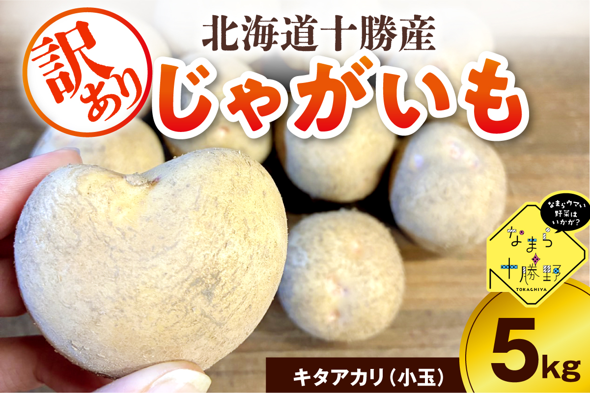 【10月上旬～1月下旬頃配送】【訳あり】北海道十勝芽室町 農家応援じゃがいも キタアカリ（小玉）5㎏　me001-050c-1